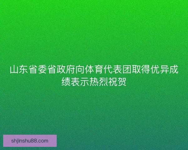 山东省委省政府向体育代表团取得优异成绩表示热烈祝贺