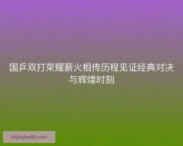 国乒双打荣耀薪火相传历程见证经典对决与辉煌时刻